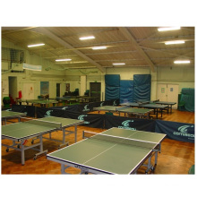 Steel Frame Prefabricated Table Tennis Training Playing Hall Building